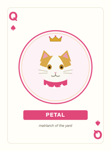 Queen of Spades — Petal